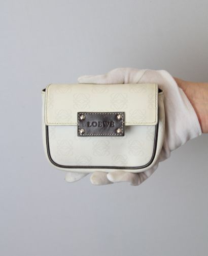 Cartera para Cinturon, vista frontal