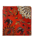 Hermes Pañuelo, vista frontal