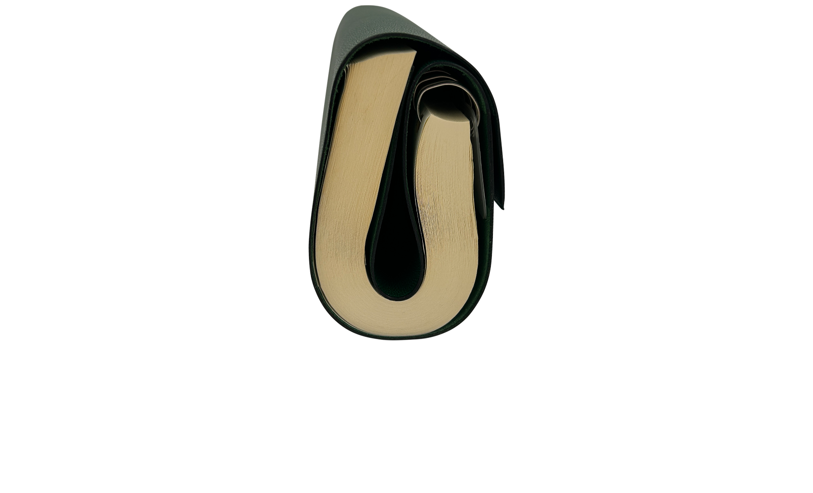 Hermes Libreta Chier Roule Roll, 320&euro;, Accesorios, Verde, Animal - Piel, Vista lateral