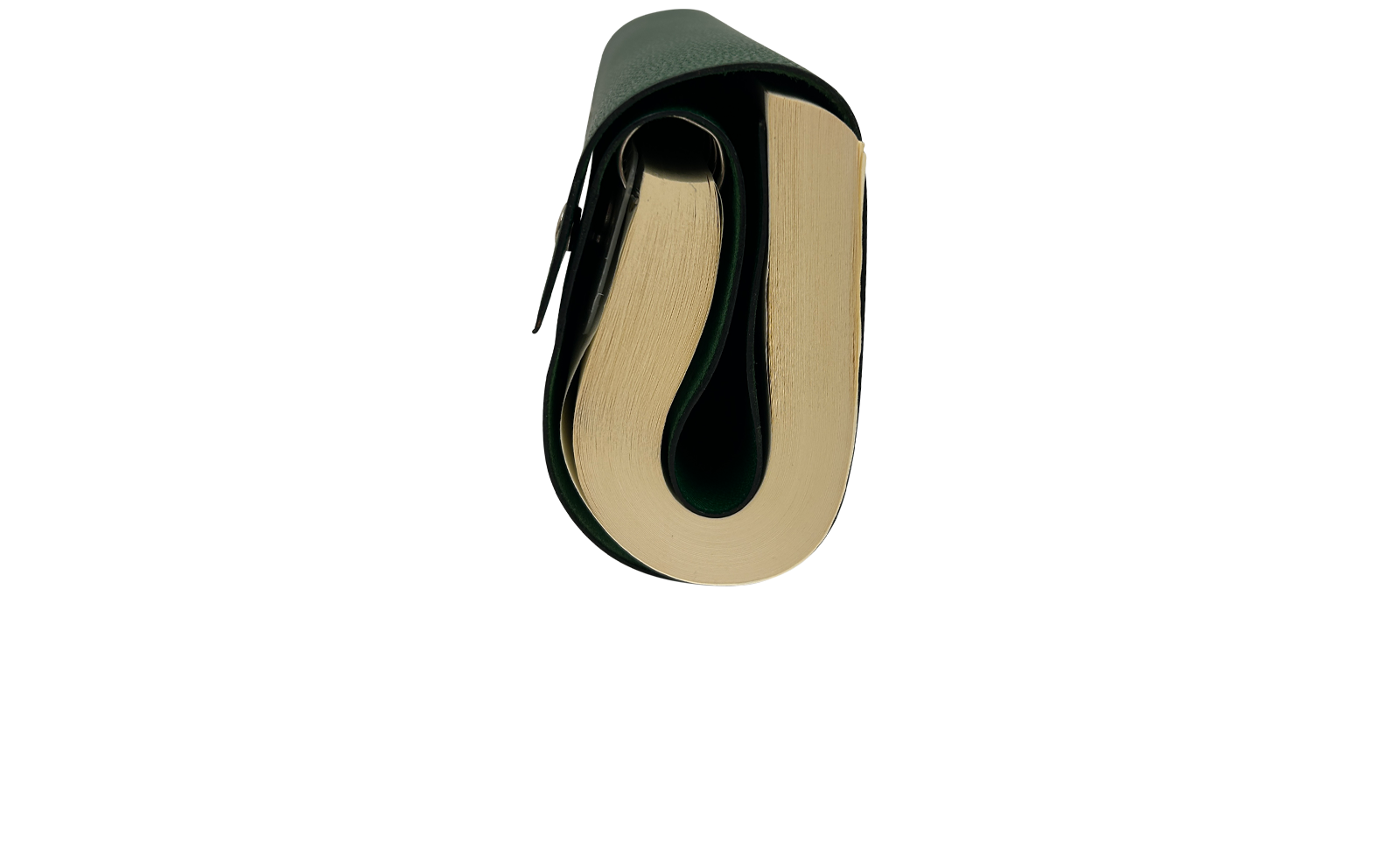 Hermes Libreta Chier Roule Roll, 320&euro;, Accesorios, Verde, Animal - Piel, Vista inferior