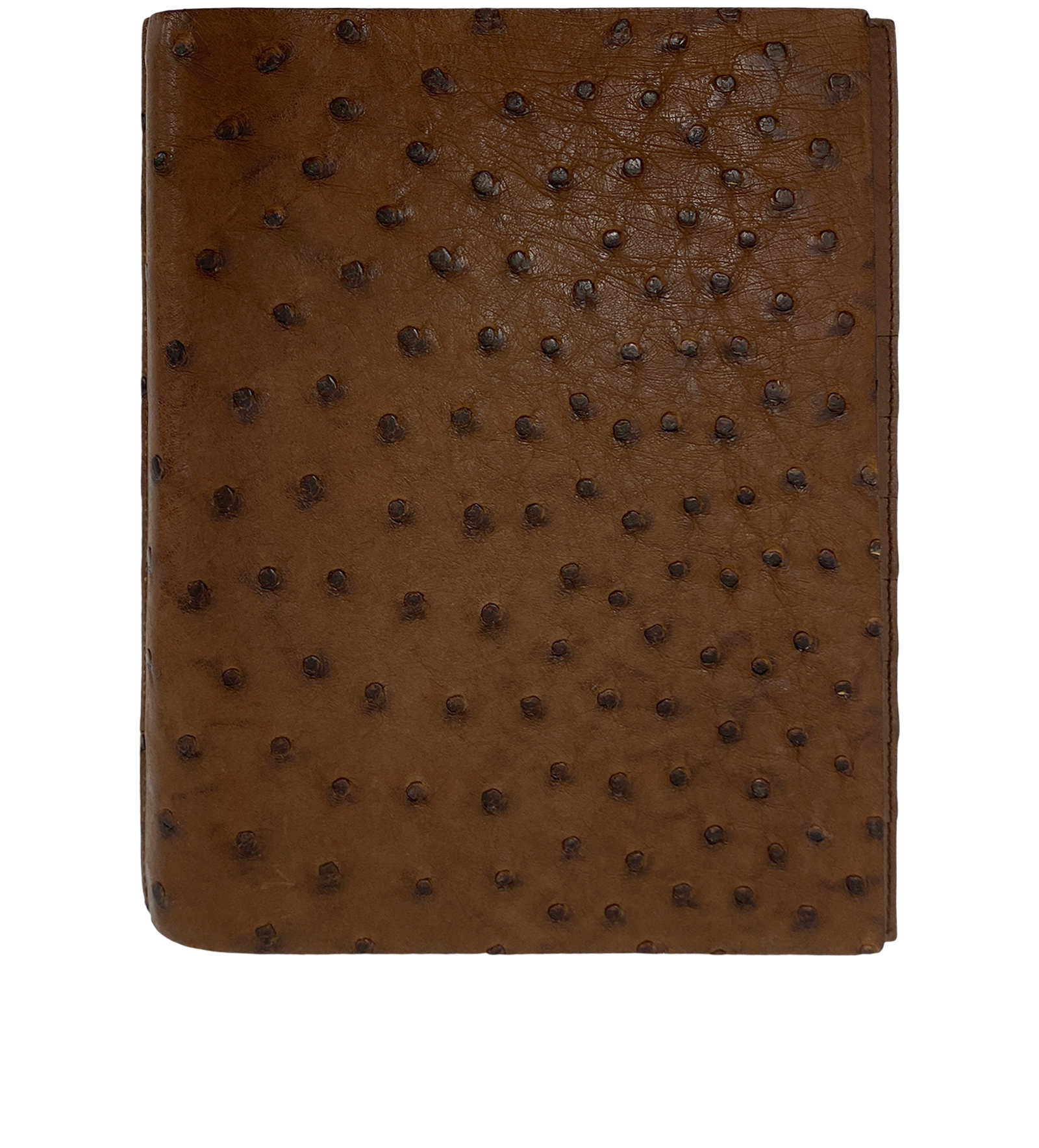 Loewe Portafolio, 180&euro;, Accesorios, Marrón, Animal - Avestruz, Vista frontal