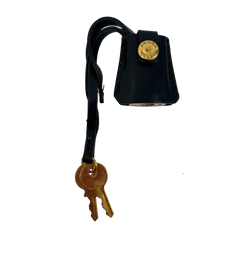 Prada Candado,Keys,Metal,Dorado,Funda Negra,2*