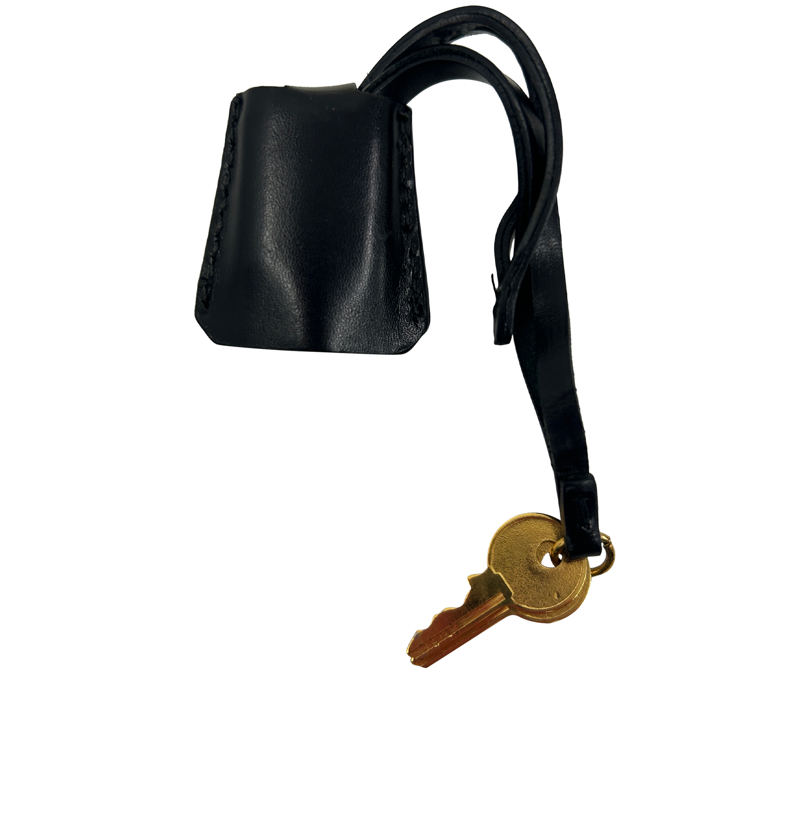 Candado, 60&euro;, Accesorios, Negro, Animal - Piel, Vista trasera