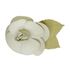 Broche Camelia, 100&euro;, Accesorios, Blanco, Animal - Piel, Vista frontal