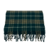 Burberry Scarf, 140&euro;, Accesorios, Verde, Lana - Cachemira, Vista frontal