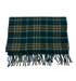 Burberry Scarf, 140&euro;, Accesorios, Verde, Lana - Cachemira, Vista trasera