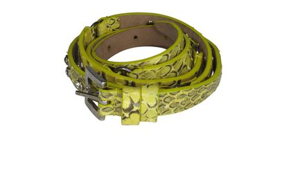 Dolce & Gabbana Cinturon Serpiente Metal, vista frontal