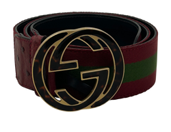 Gucci Cinturón 85, Nastro/Avestruz, Rojo/Verde,2