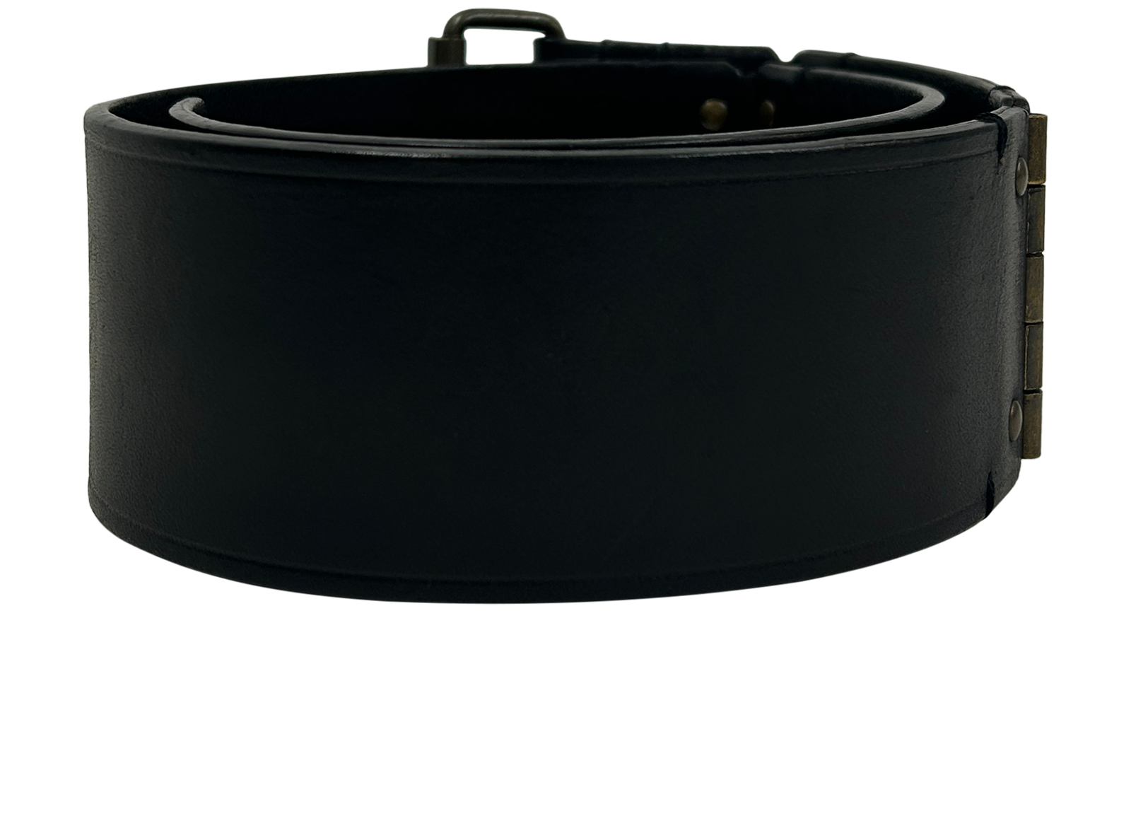 Lanvin Cinturón, 50&euro;, Accesorios, Negro, Animal - Piel, Vista trasera