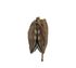 Bandolera, 250€, Bolso, Marrón, Animal - Piel, Vista inferior