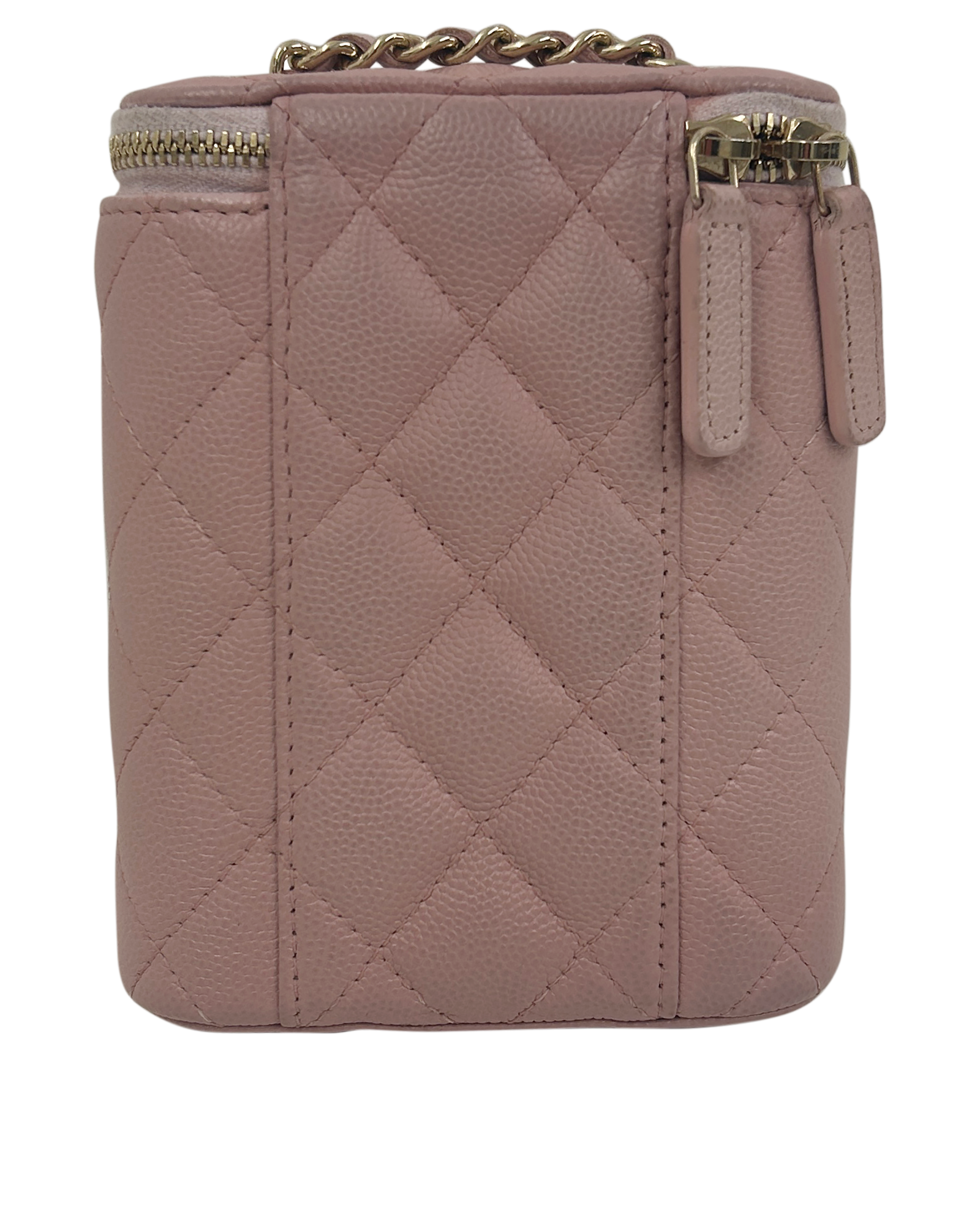 Vanity Crossbody, 2.400&euro;, Bolso, Rosa, Animal - Piel, Vista trasera