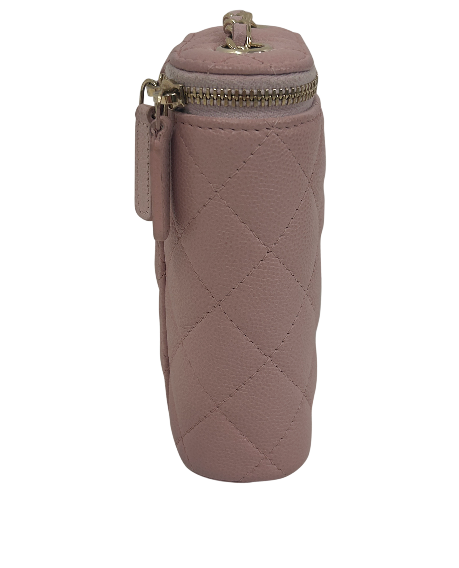 Vanity Crossbody, 2.400&euro;, Bolso, Rosa, Animal - Piel, Vista lateral