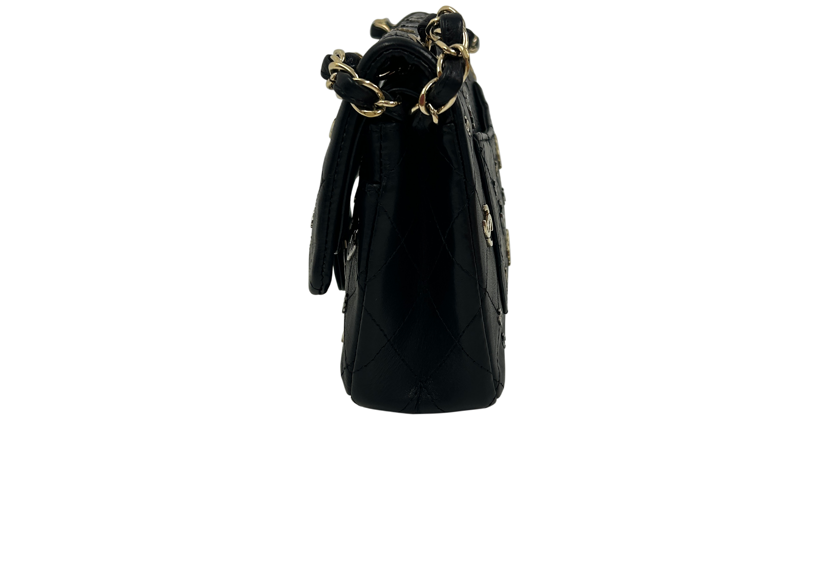 224 Punk CC Bag, 3.900&euro;, Bolso, Negro, Animal - Piel, Vista inferior