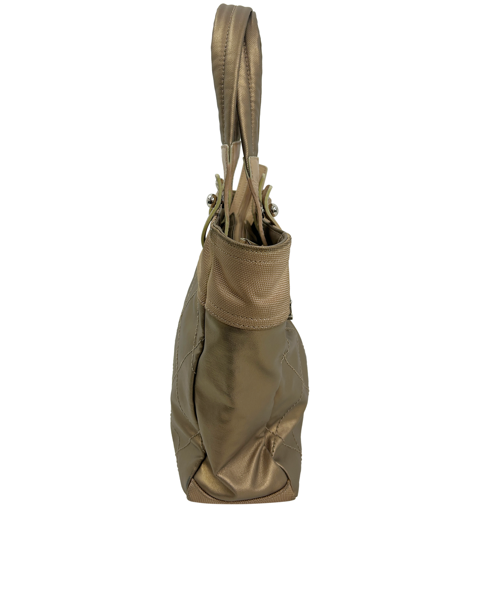 Paris Biarritz Tote, 890&euro;, Bolso, Beige, Animal - Piel/Tejido - General, Vista lateral