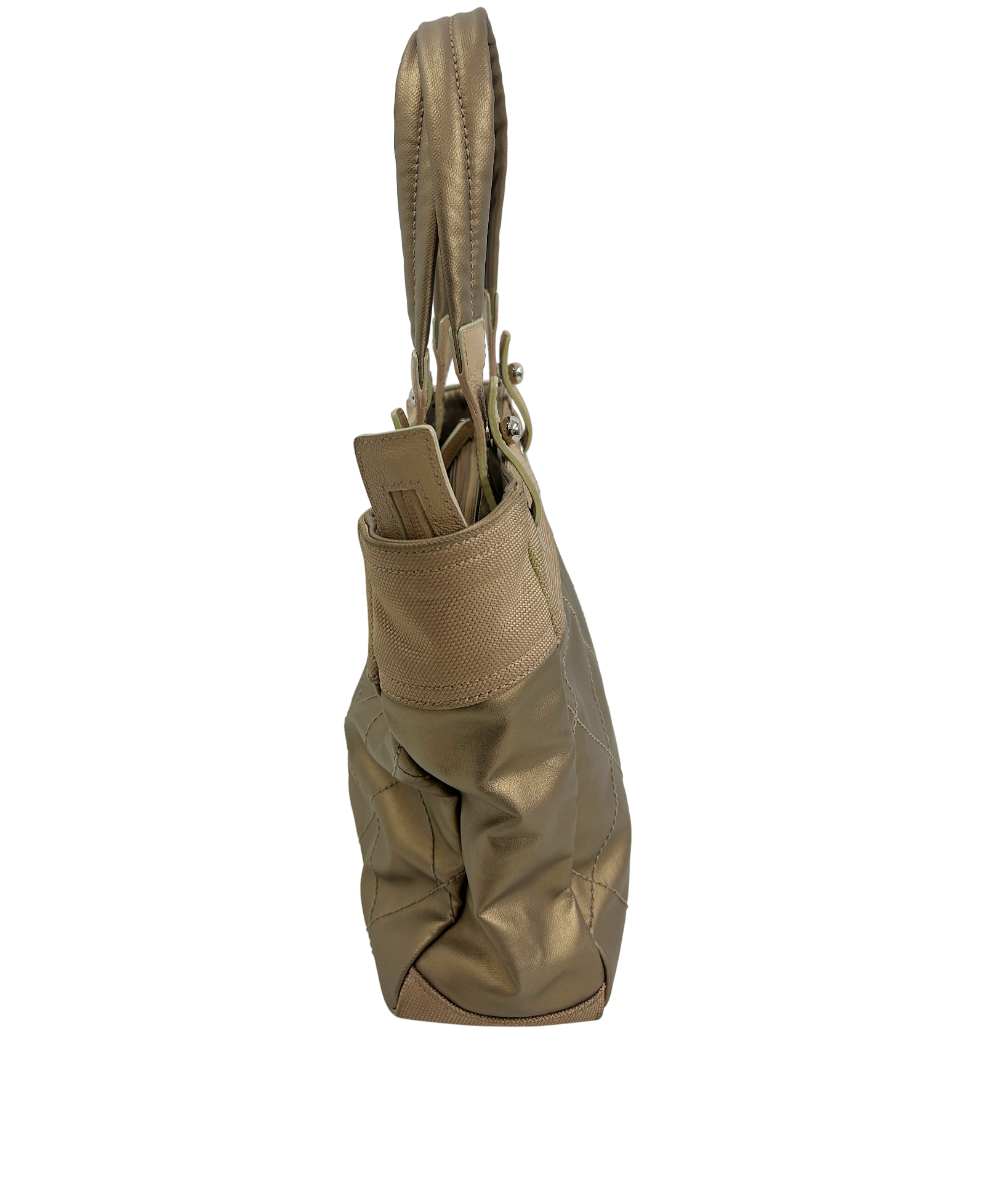 Paris Biarritz Tote, 890&euro;, Bolso, Beige, Animal - Piel/Tejido - General, Vista inferior
