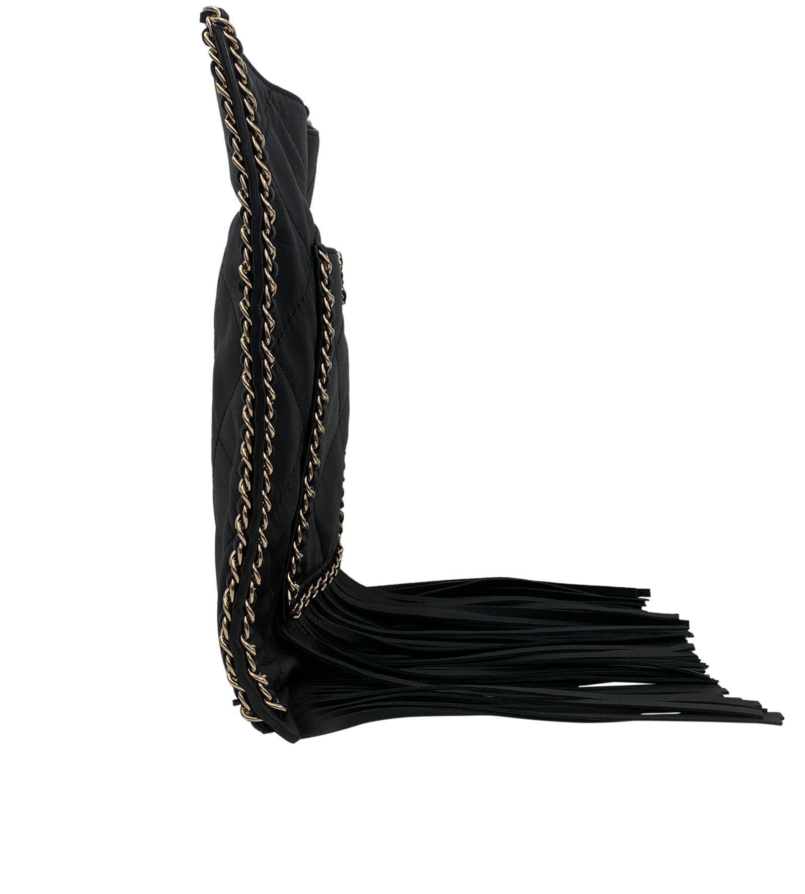 Bandolera Fringe Chain Around, 4.860&euro;, Bolso, Negro, Animal - Piel, Vista lateral