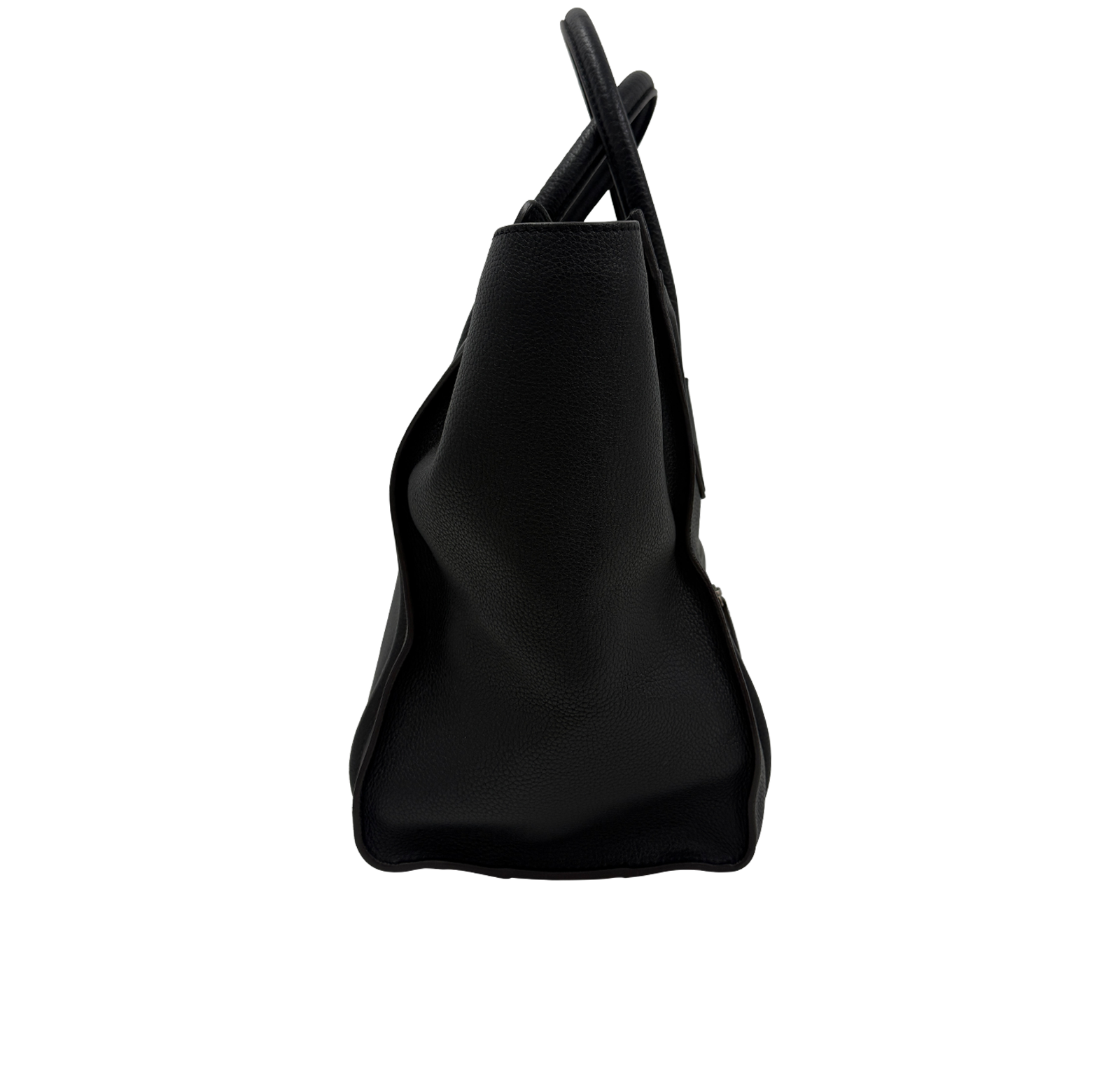 Luggage L, 860&euro;, Bolso, Negro, Animal - Piel, Vista lateral