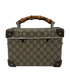 Globe Trotter Case, vista trasera