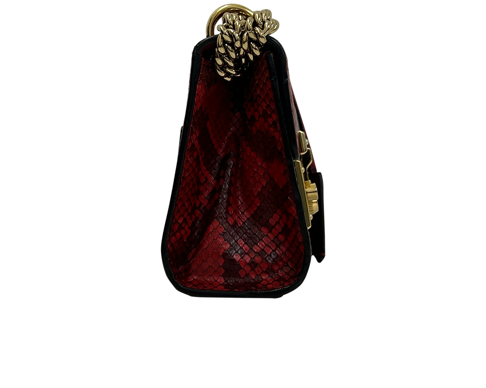 Padlock, 650&euro;, Bolso, Rojo, Animal - Pitón, Vista lateral