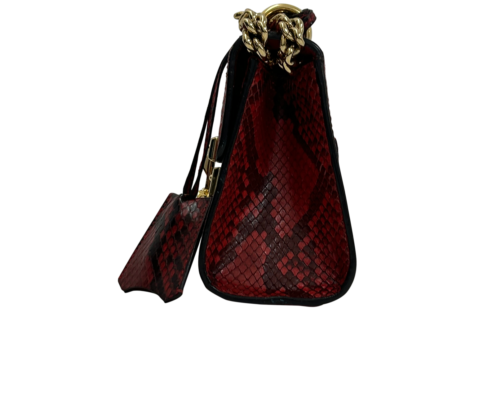 Padlock, 650&euro;, Bolso, Rojo, Animal - Pitón, Vista inferior