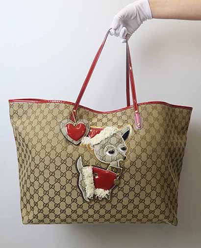 Shopper Chihuahua, vista frontal