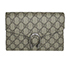 Dionysus Wallet in Chain, vista frontal