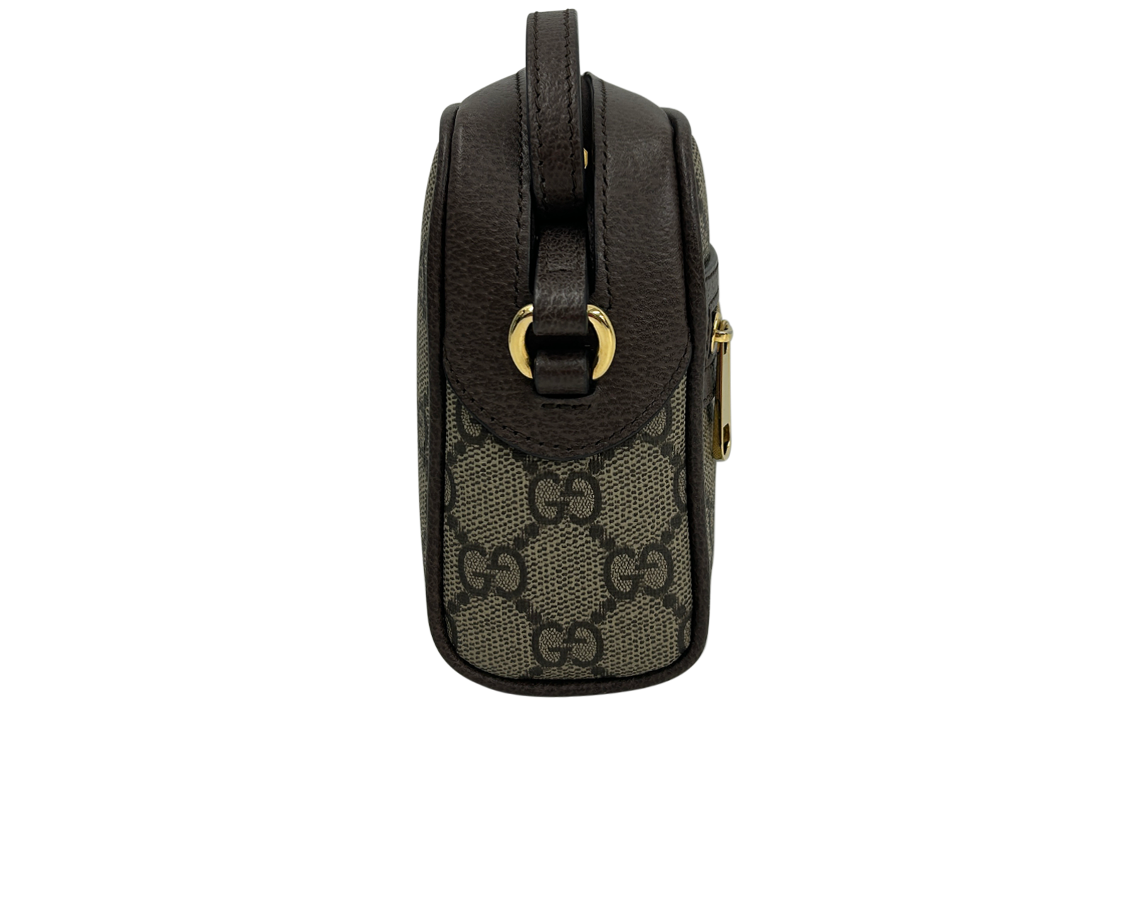 Crossbody Ophidia, 990&euro;, Bolso, Marrón, Canvas - General, Vista lateral