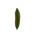 Clutch, vista inferior