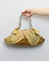 Bolso de Mano, vista frontal